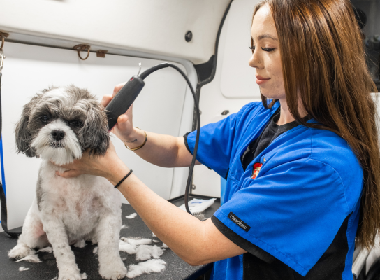 Trusted Grooming, the Aussie Pet Mobile Way