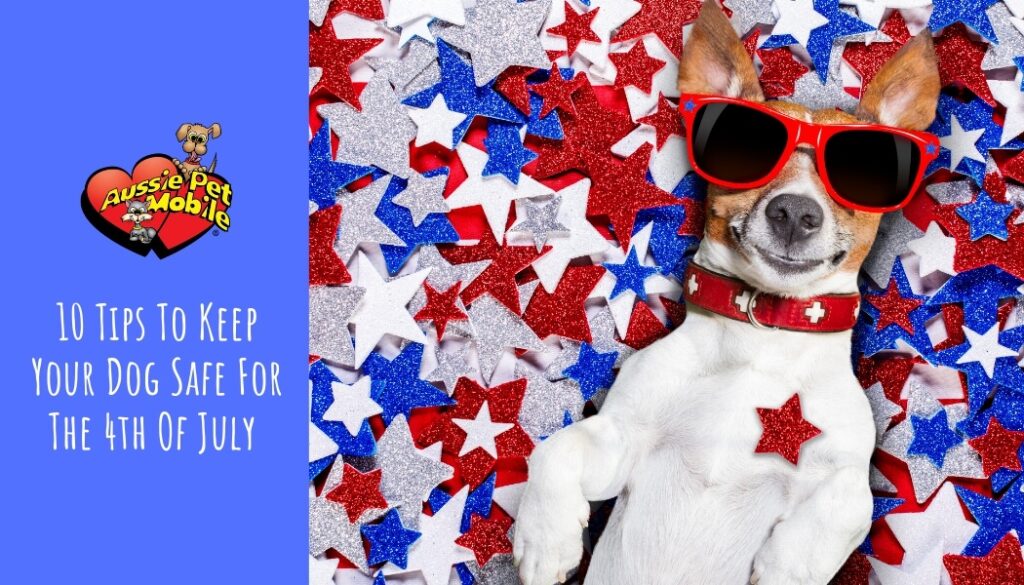 10 Tips To Keep Your Dog Safe For The 4th Of July