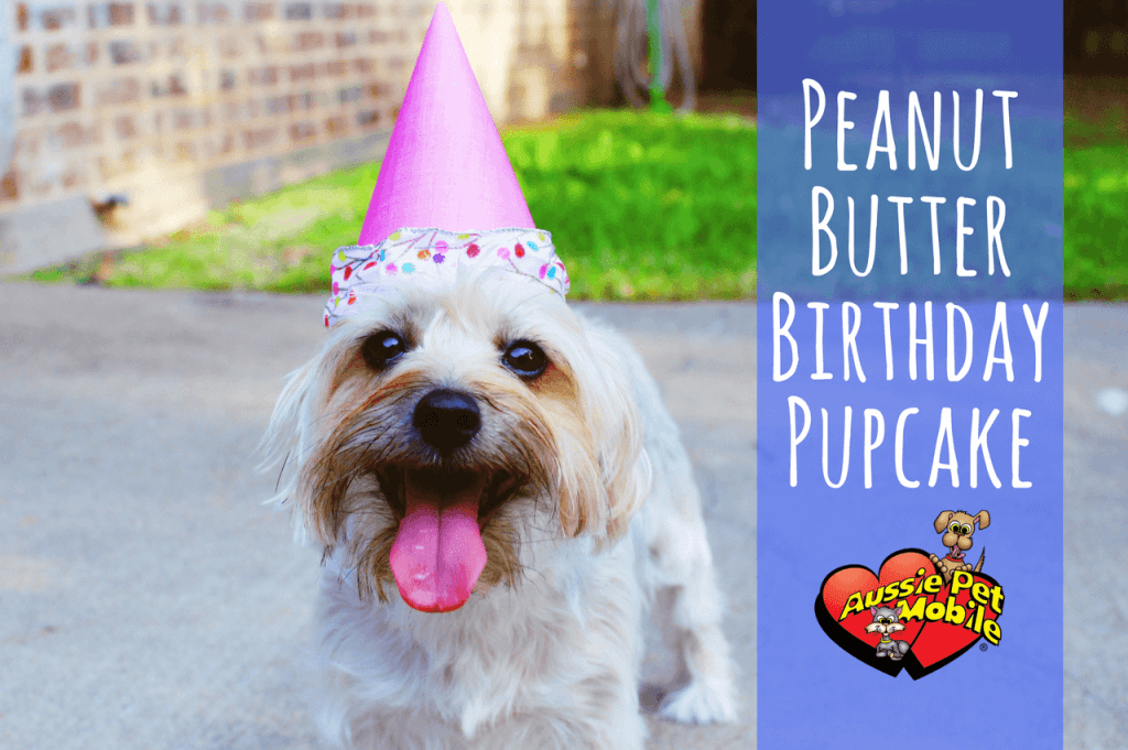 Peanut Butter Birthday Pupcake