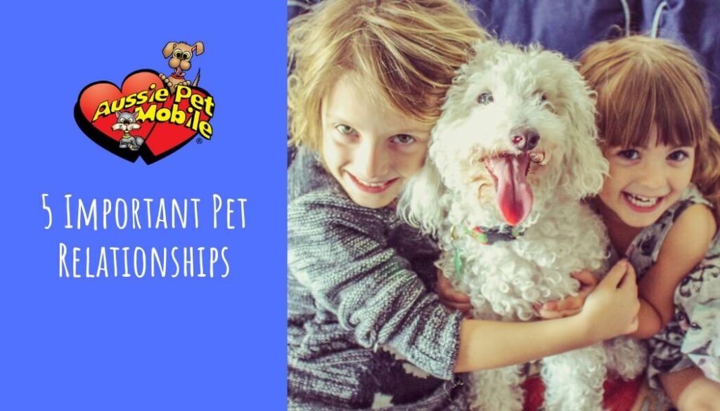 5 Important Pet Relationships