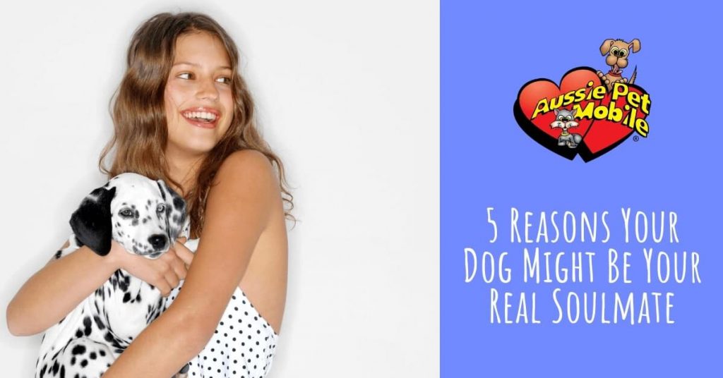 5 Reasons Your Dog Might Be Your Real Soulmate