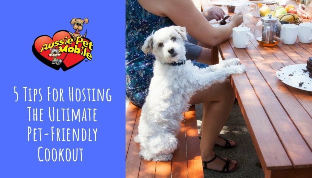 5 Tips For Hosting The Ultimate Pet-Friendly Cookout-Aug-2021