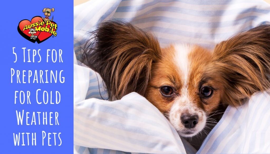 5 Tips for Preparing for Cold Weather with Pets-Nov-2020