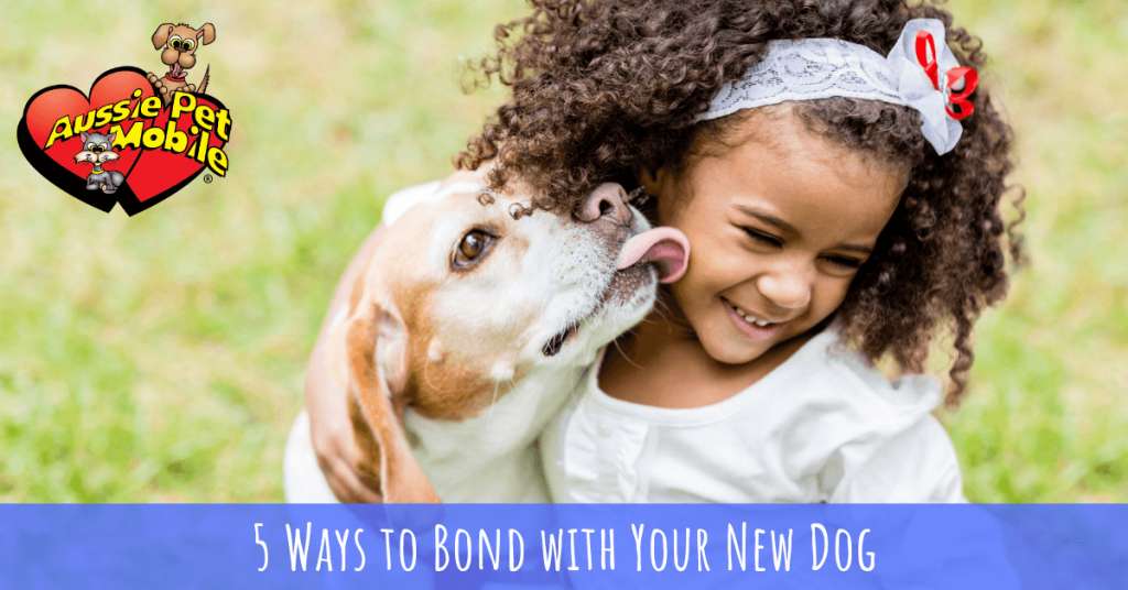 5 Ways to Bond with Your New Dog