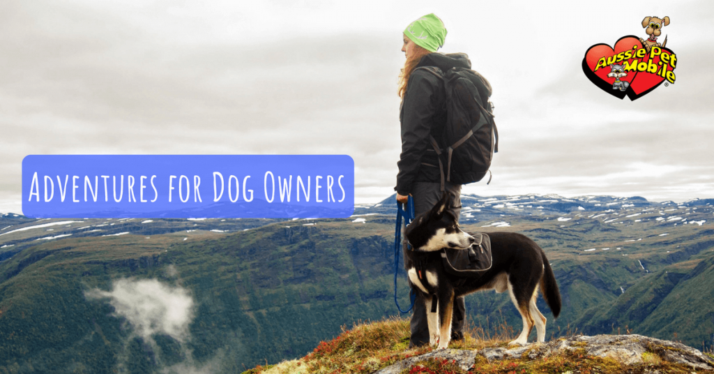 Adventures for Dog Owners