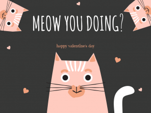 Meow You Doing? Happy Valentines Day!