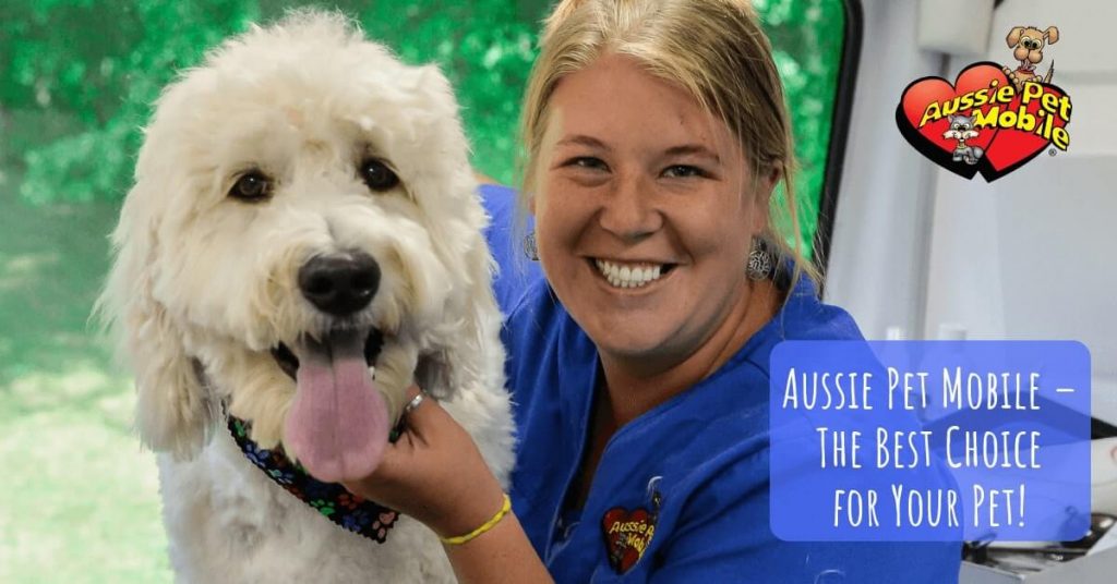Aussie Pet Mobile – The Best Choice for Your Pet