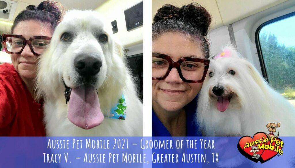 Aussie Pet Mobile 2021 – Groomer of the Year Tracy V – Aussie Pet Mobile Greater Austin TX