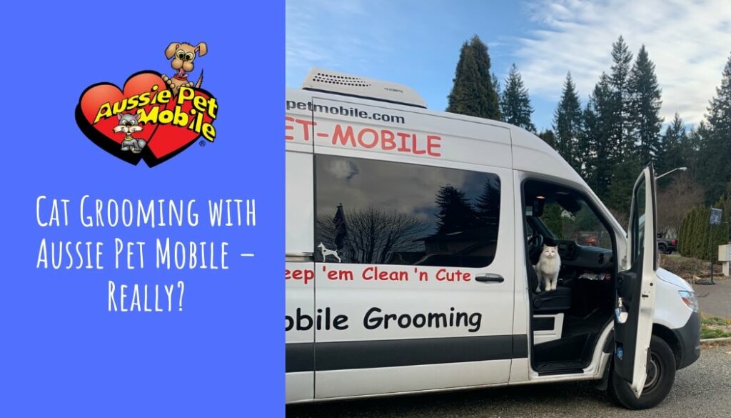 Cat Grooming with Aussie Pet Mobile – Really March 2022