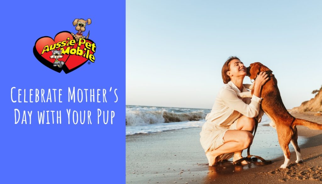 Celebrate Mother’s Day with Your Pup May 2022