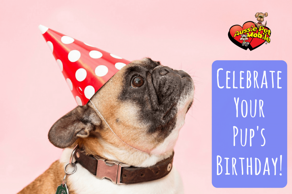Celebrate Your Pup’s Birthday
