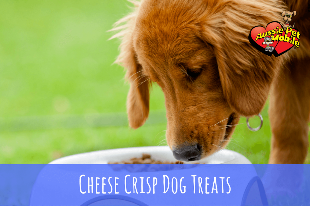 Cheese Crisp Dog Treats