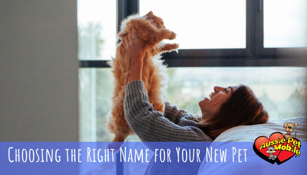 choosing the right name for your new pet