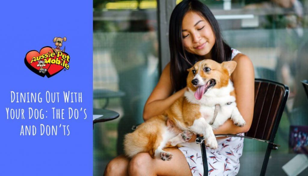 Dining Out With Your Dog The Do’s and Don’ts
