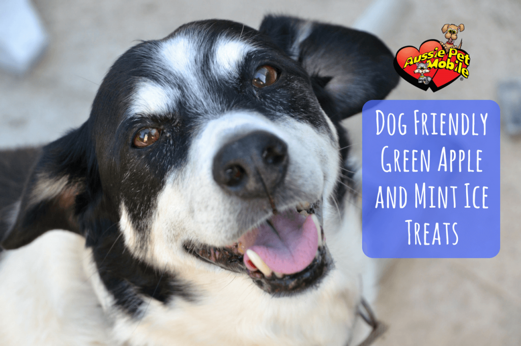 Dog Friendly Green Apple And Mint Ice Treats