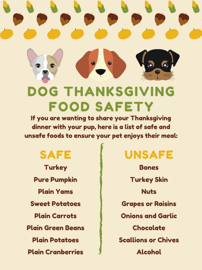 Dog Thanksgiving Food Safety-Nov-2020