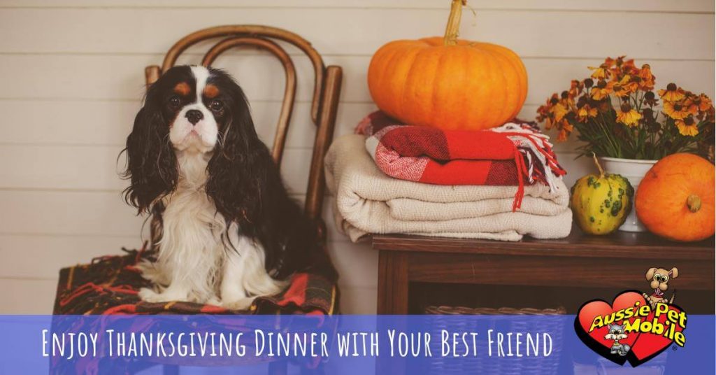 Enjoy Thanksgiving Dinner With Your Best Friend