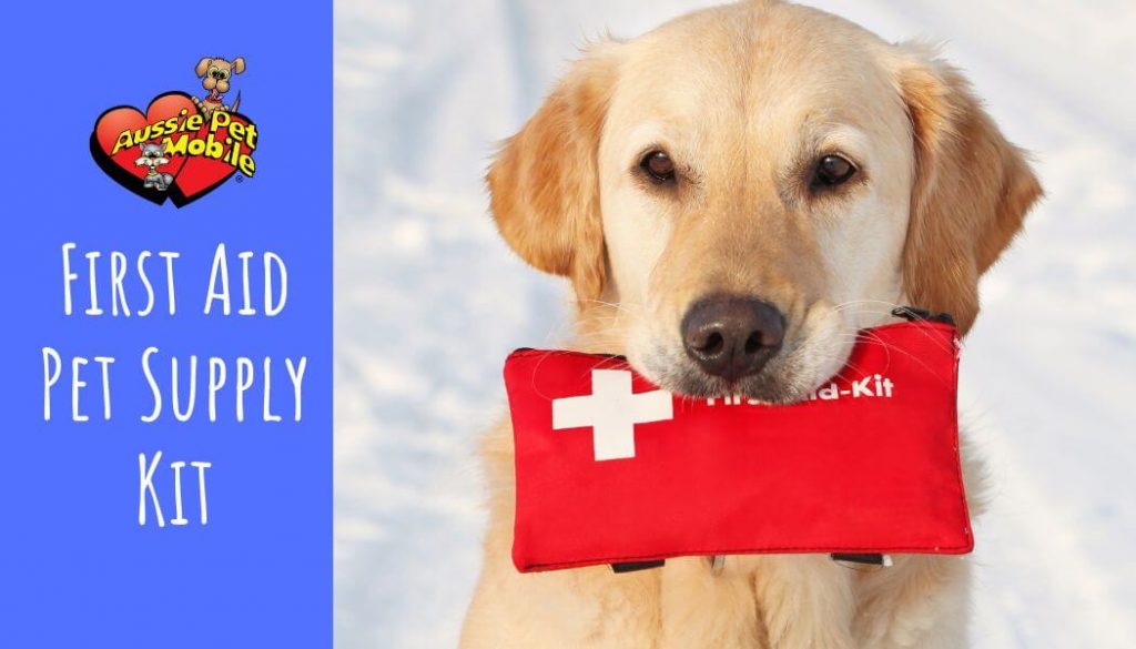 First Aid Pet Supply Kit