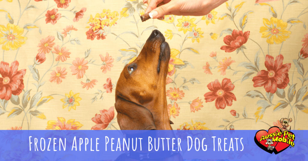Frozen Apple Peanut Butter Dog Treats