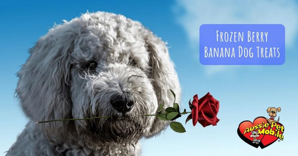 Frozen Berry Banana Dog Treats