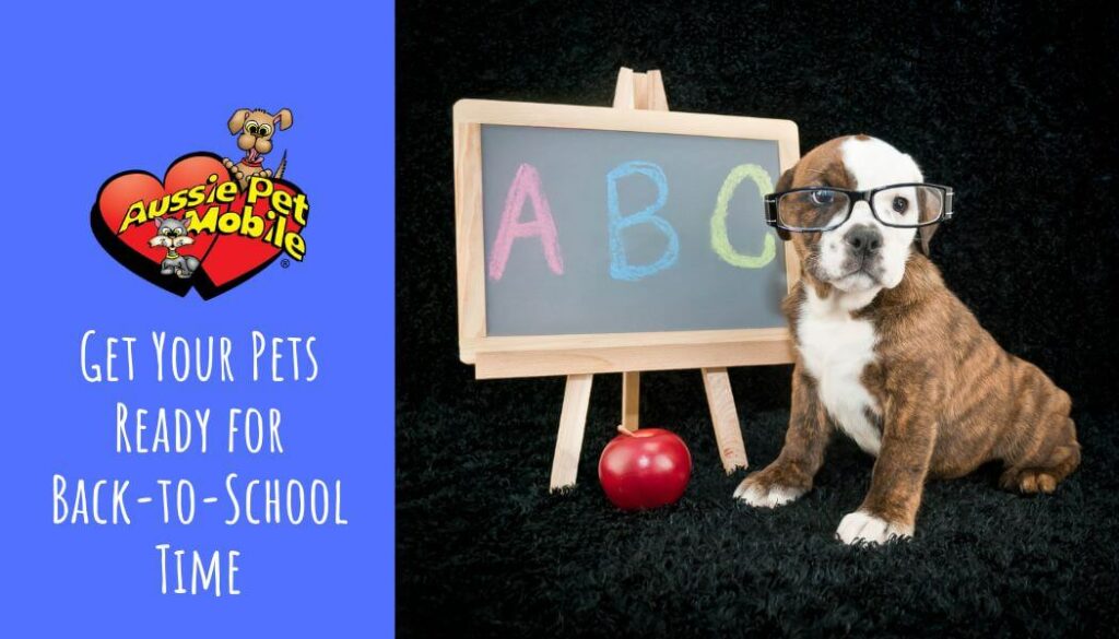 Get Your Pets Ready for Back-to-School Time