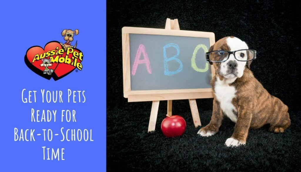 Get Your Pets Ready for Back-to-School Time