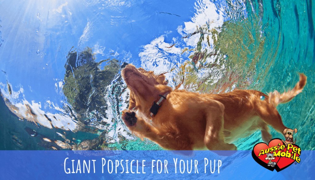 Giant Popsicle for Your Pup