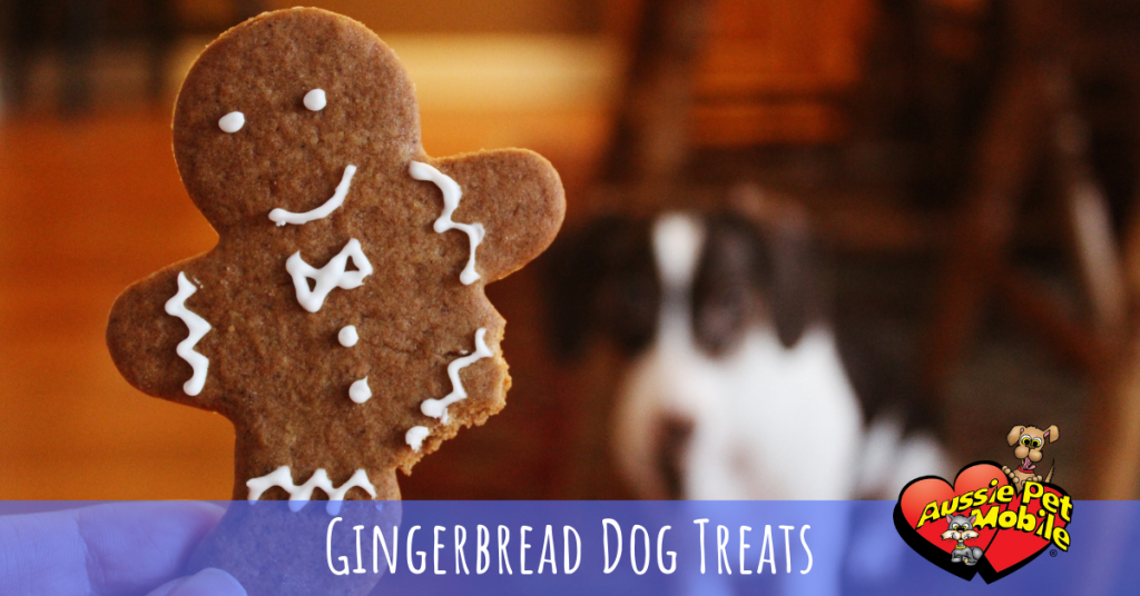 gingerbread dog treats 12-19