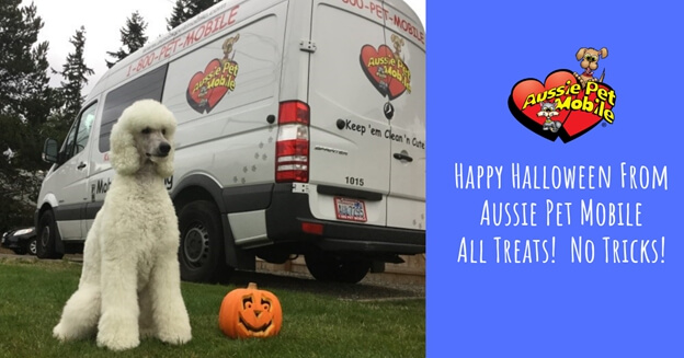 Happy Halloween From Aussie Pet Mobile – All Treats! No Tricks