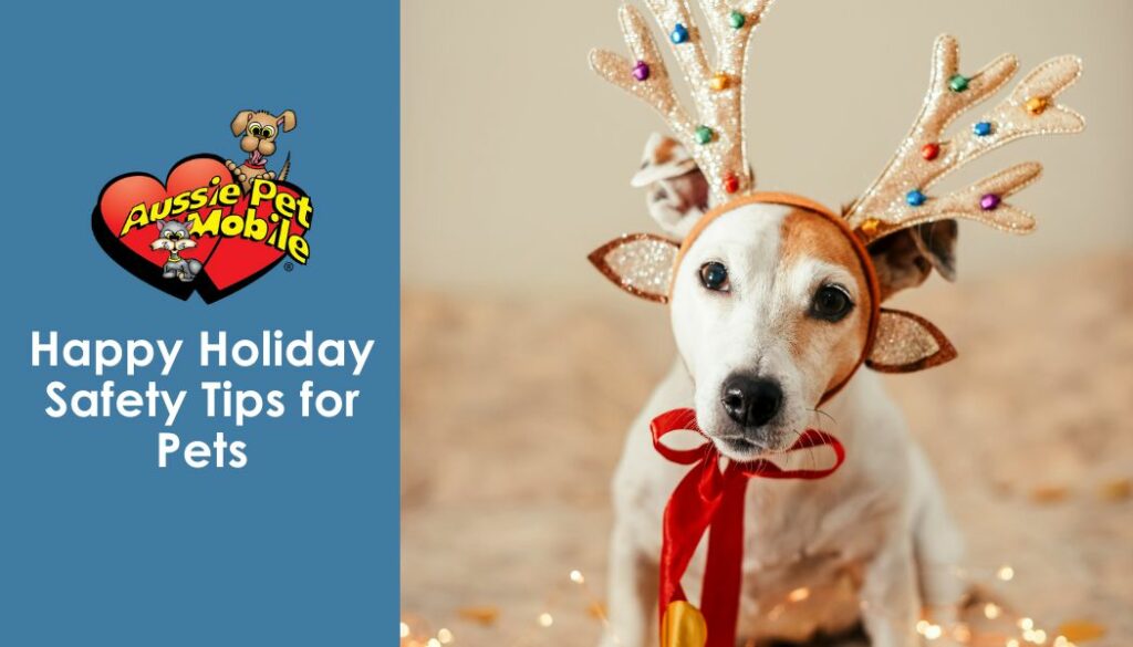 Happy Holiday Safety Tips for Pets