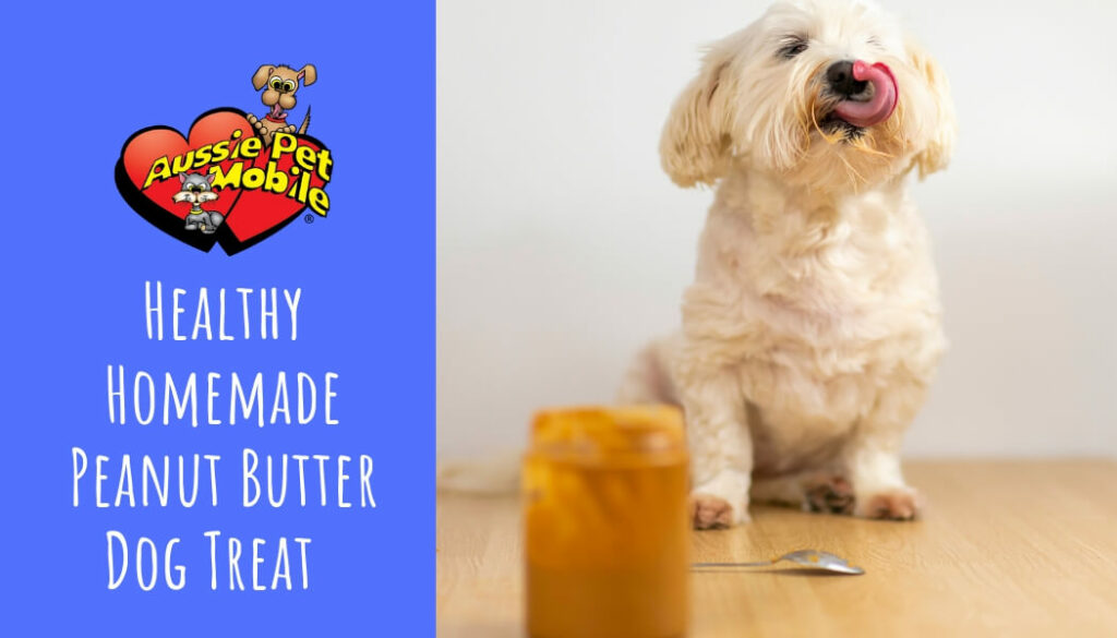 Healthy Homemade Peanut Butter Dog Treat