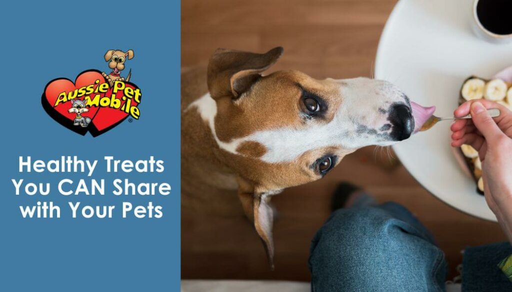 Healthy Treats You CAN Share with Pets