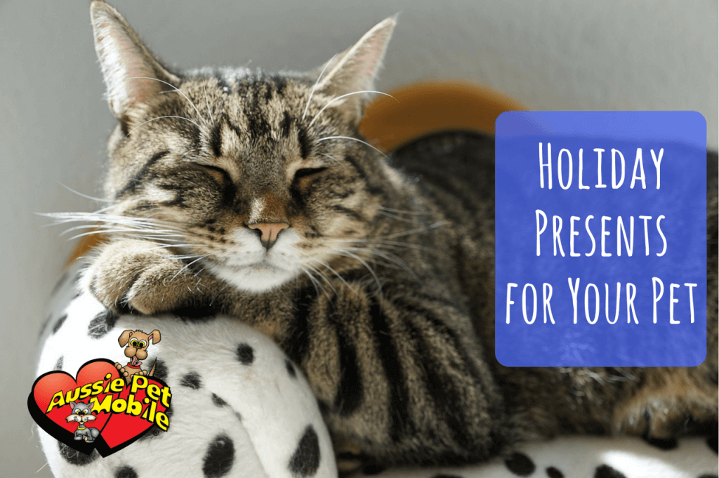 Holiday Presents For Your Pet