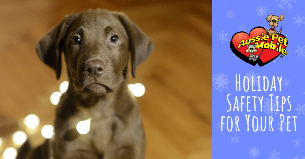 Holiday Safety Tips for Your Pet