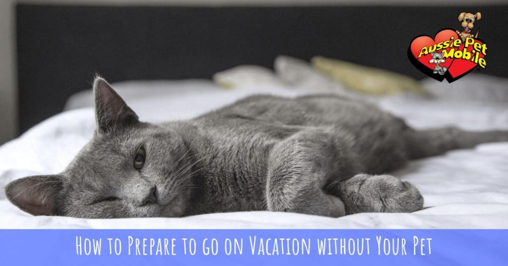 How to Prepare to go on Vacation without Your Pet