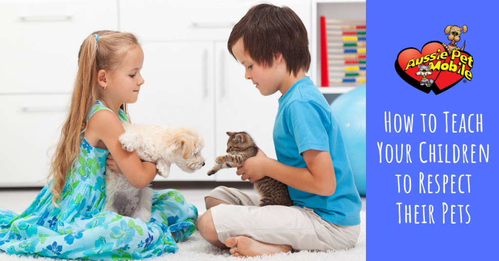 How to Teach Your Children to Respect Their Pets