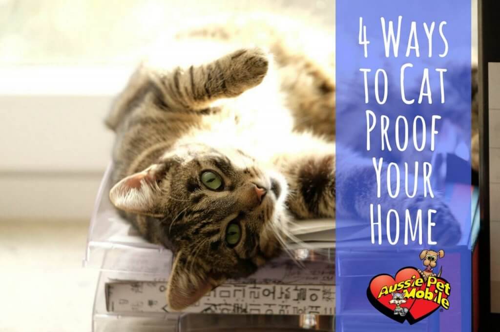 4 Ways To Cat-Proof Your Home