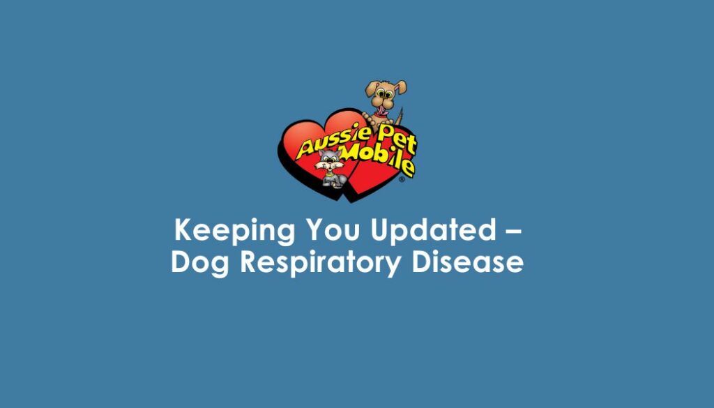Keeping You Updated - Dog Respiratory Disease