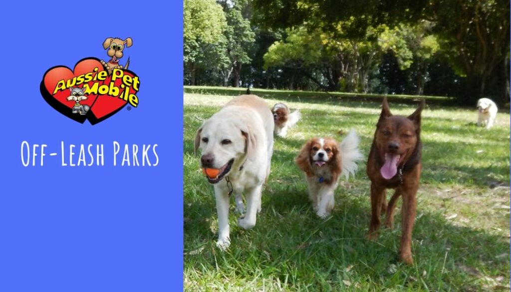 Off-Leash Parks