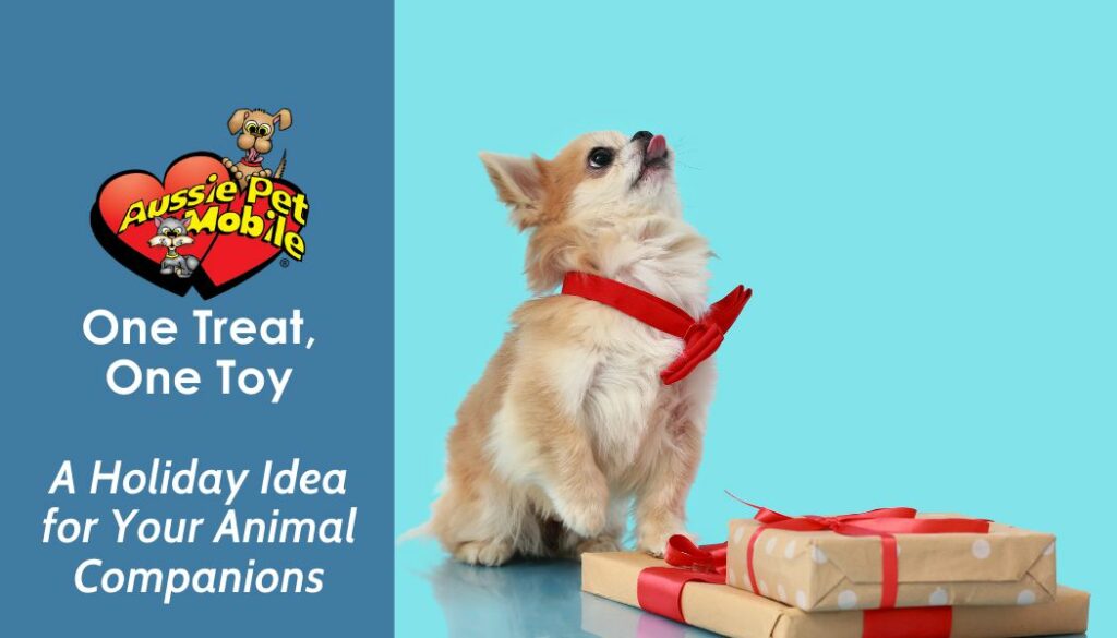 One Treat, One Toy A Holiday Idea for Your Animal Companions