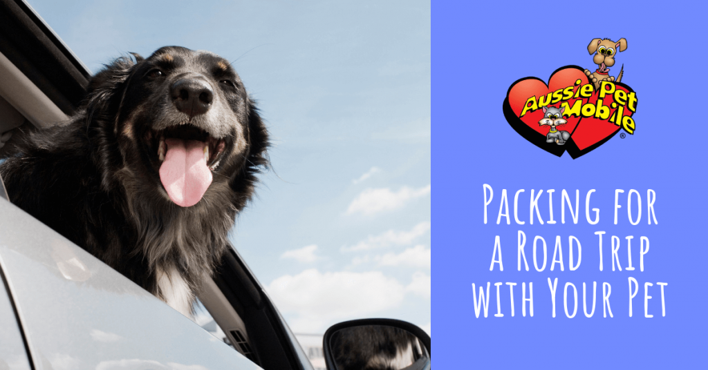Pack for a Road Trip with Your Pet