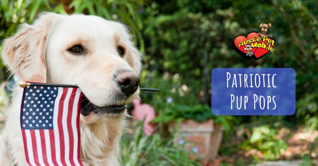 Patriotic Pup Pops