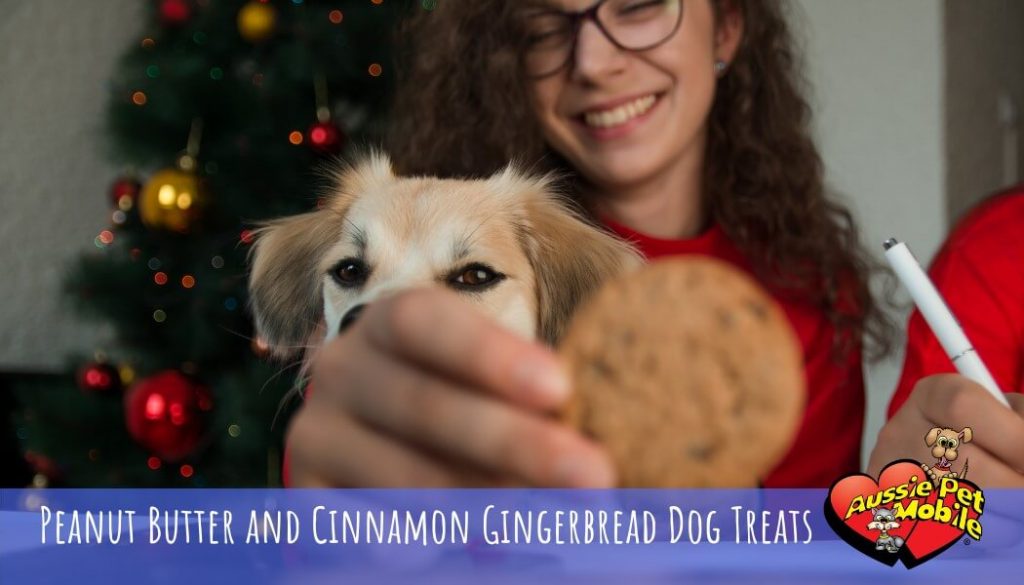 Peanut Butter and Cinnamon Gingerbread Dog Treats Dec 2020