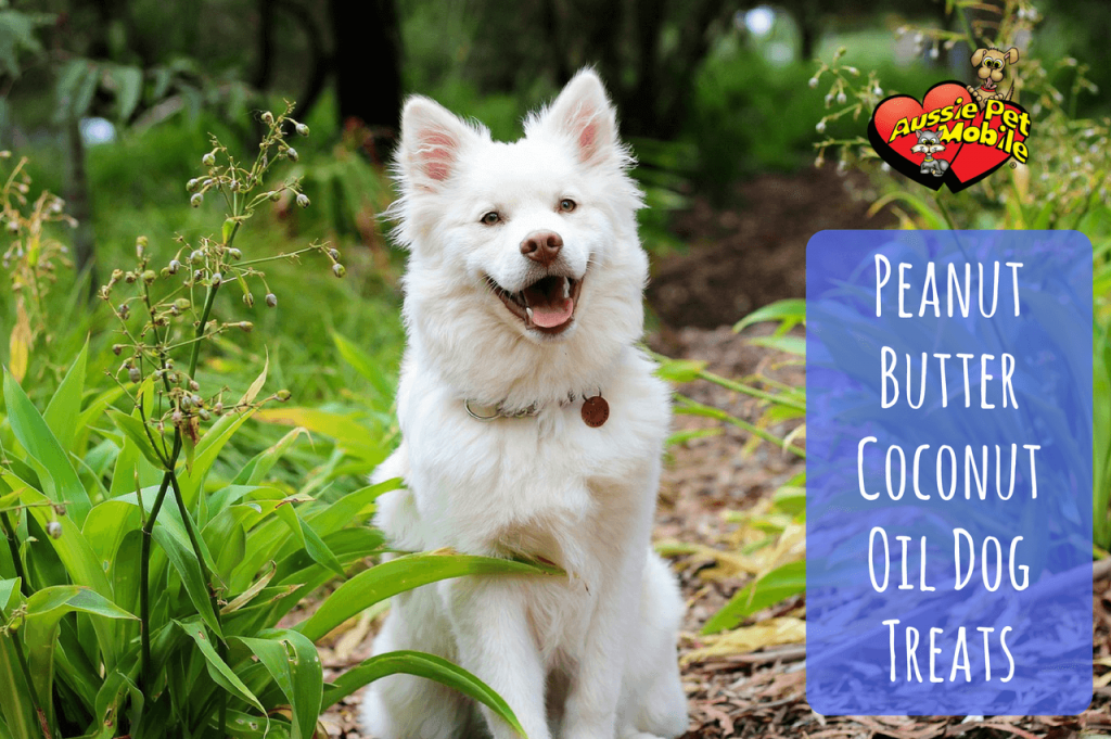 Peanut Butter Coconut Oil Dog Treats