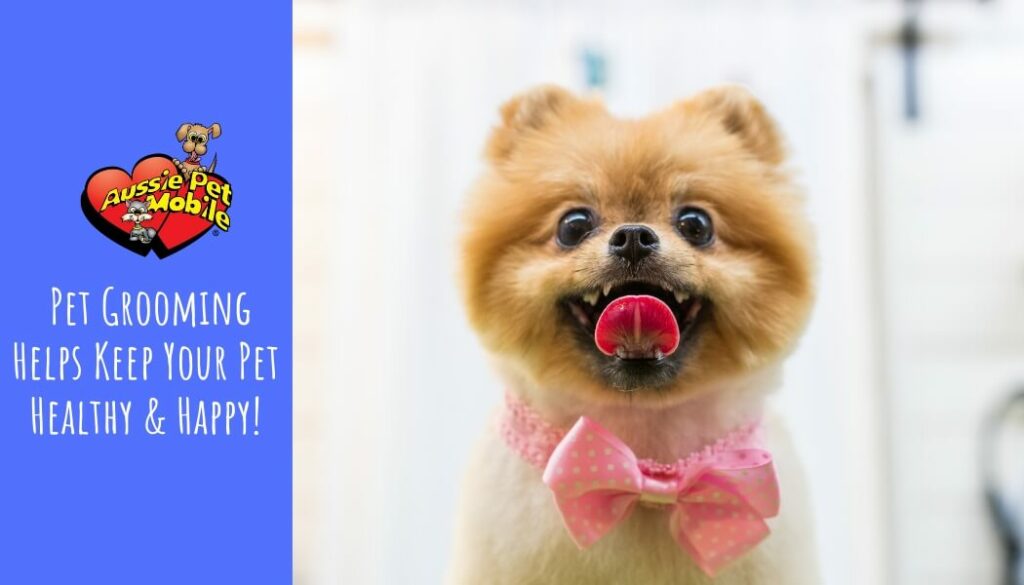 Pet Grooming Helps Keep Your Pet Healthy & Happy