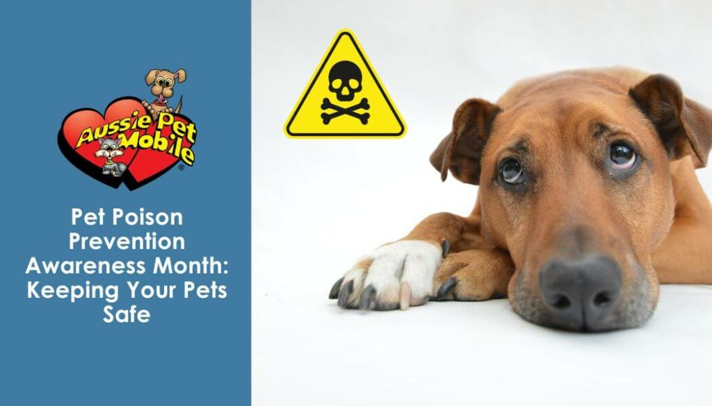 Pet Poison Prevention Awareness Month Keeping Your Pets Safe