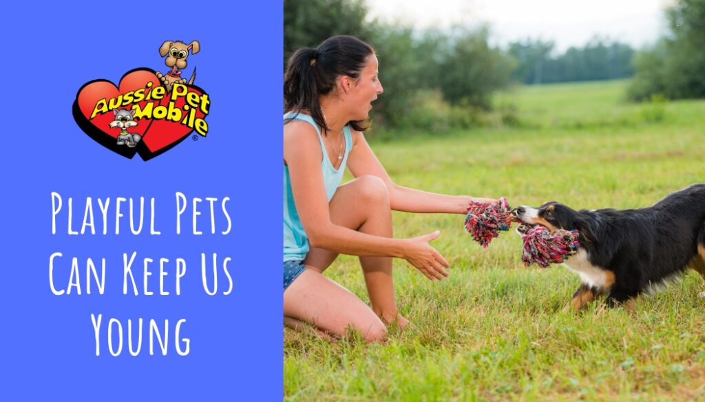 Playful Pets Can Keep Us Young