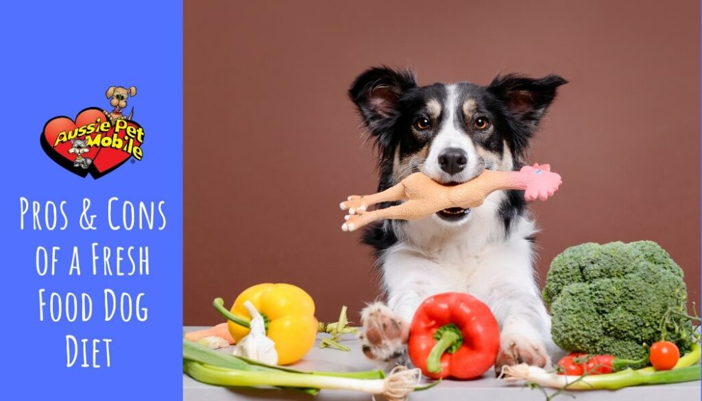 Pros & Cons of a Fresh Food Dog Diet