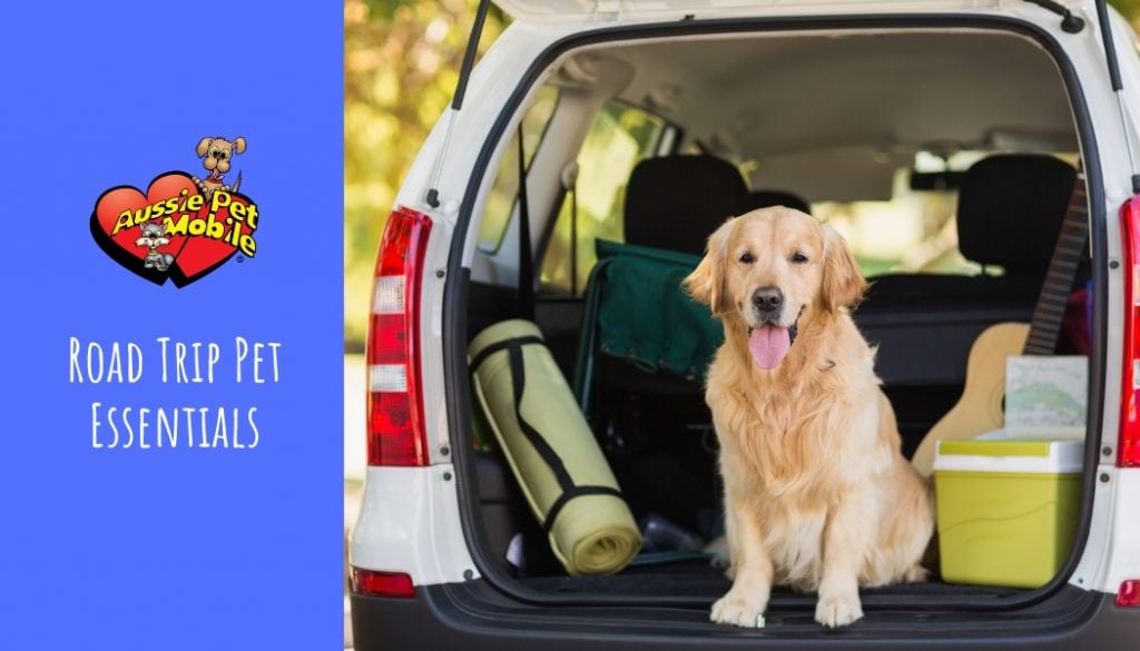 Road Trip Pet Essentials May 2021