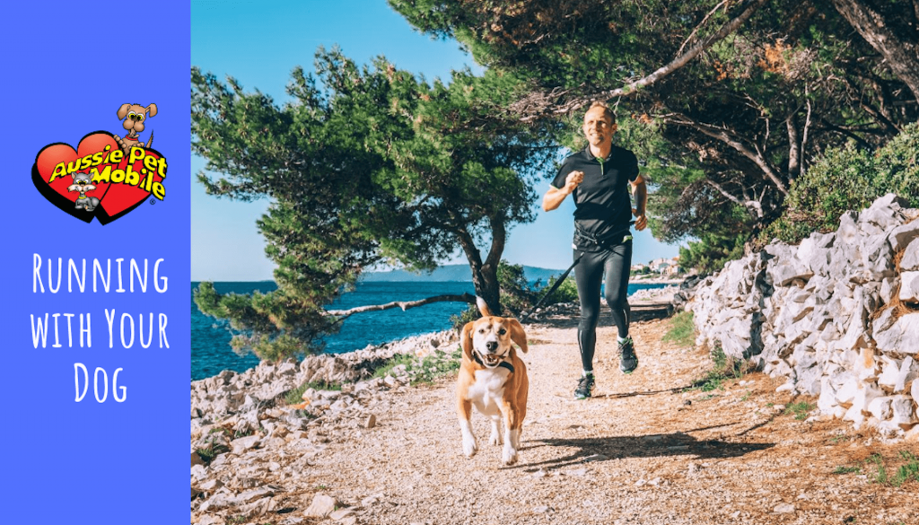 Running with Your Dog-Aug-2020